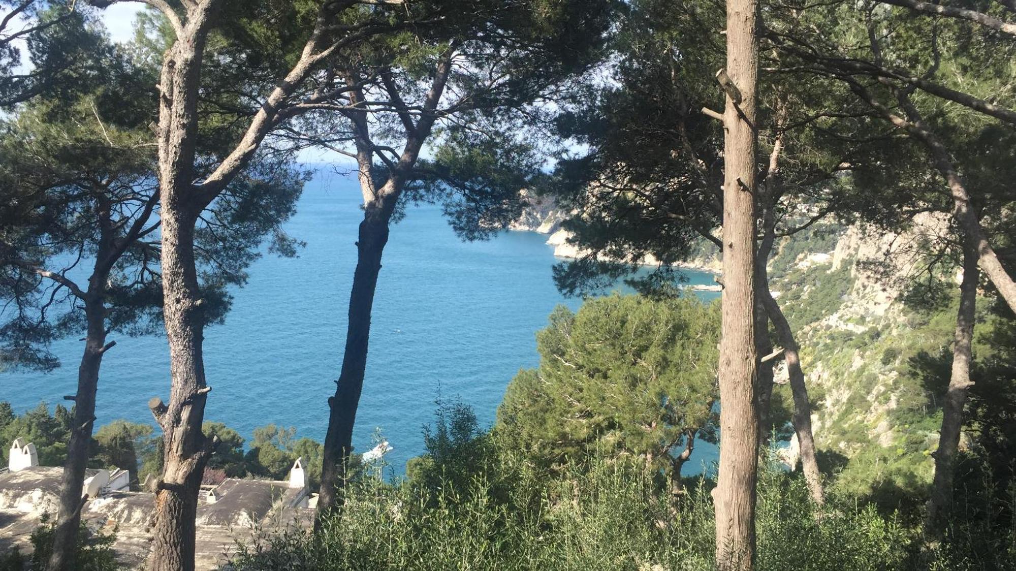 Villa Guya Capri Bagian luar foto